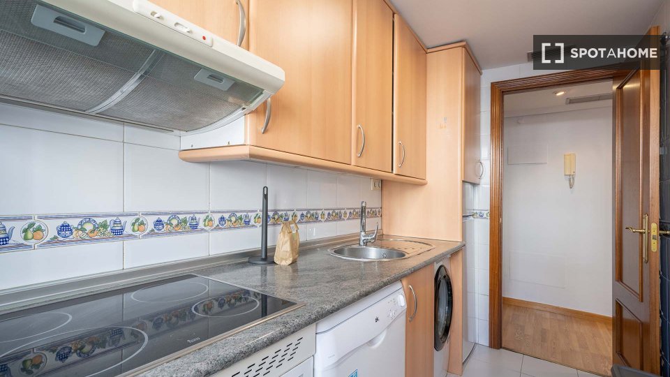 Apartment mono Madrid, 50m² — photo 9