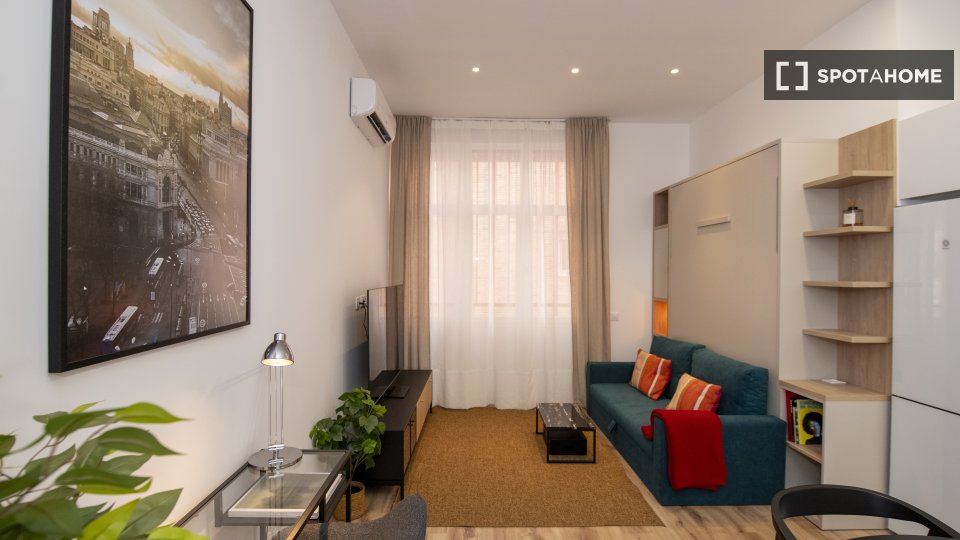 Apartment mono Madrid — photo 8