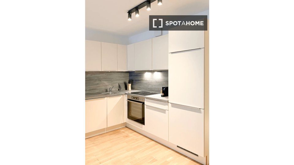 Apartment mono Graz, 32m² — photo 4