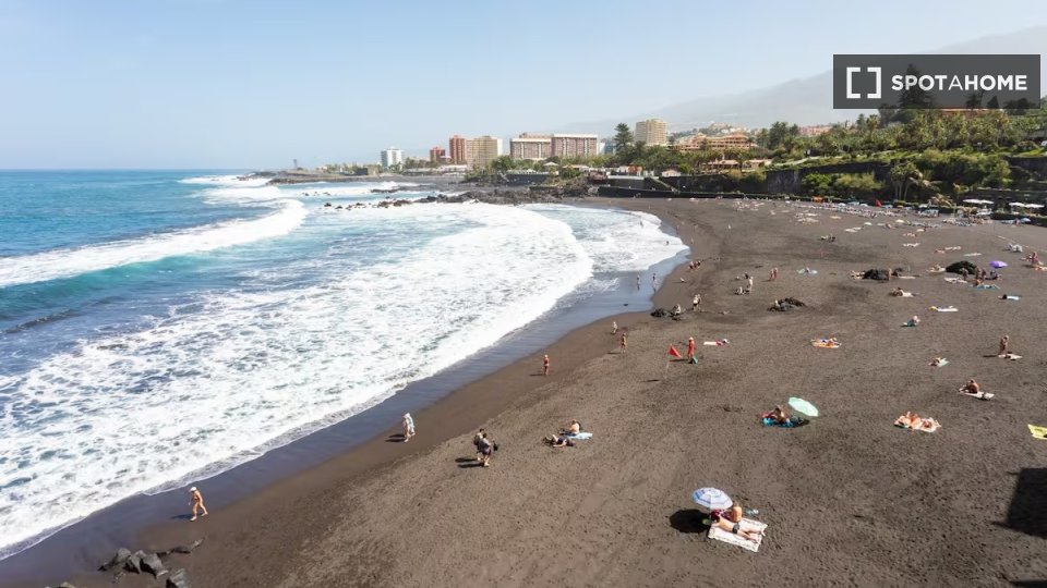 Apartment Santa_Cruz_De_Tenerife, 1 bed — photo 13