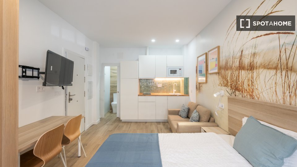 Apartment mono Madrid, 30m² — photo 15
