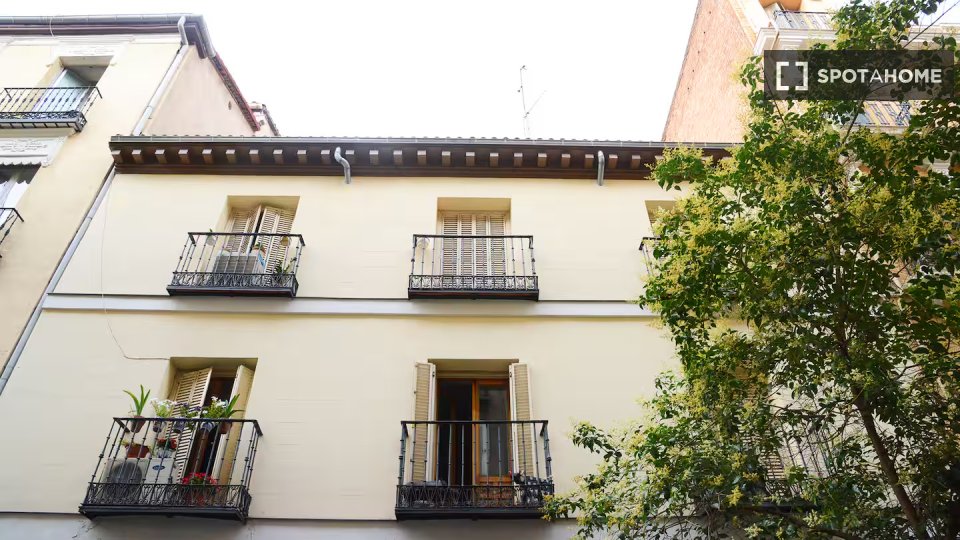 Apartment Madrid, 1 bed — photo 17