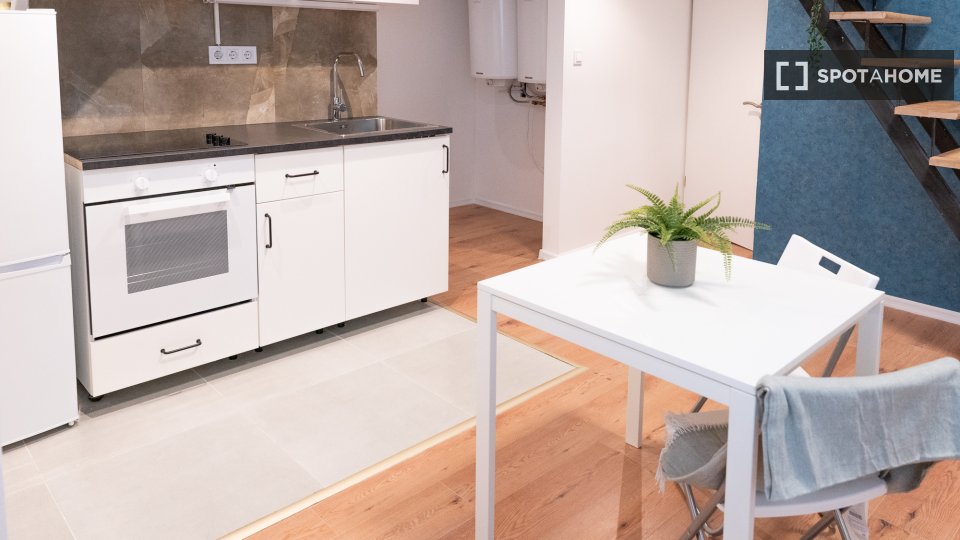 Studio apartment for rent in District Vii., Budapest (ref 1306408