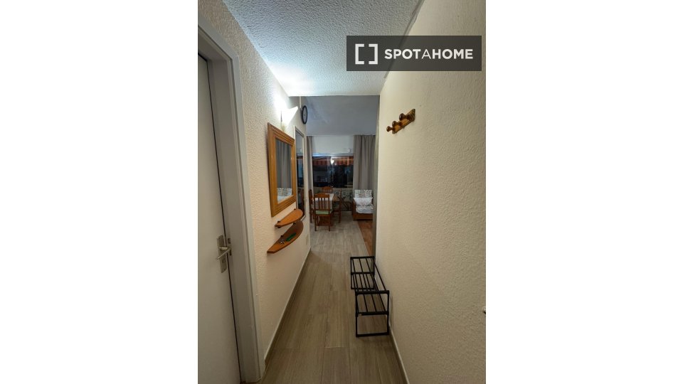 Apartment mono Santa_Cruz_De_Tenerife, 46m² — photo 15