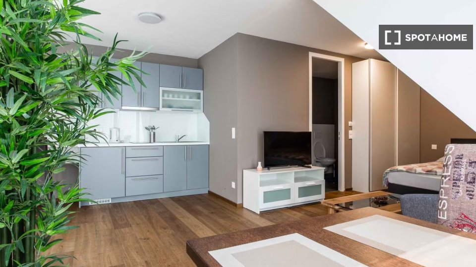 Apartment Vienna, 1 bed, 25m² — photo 3