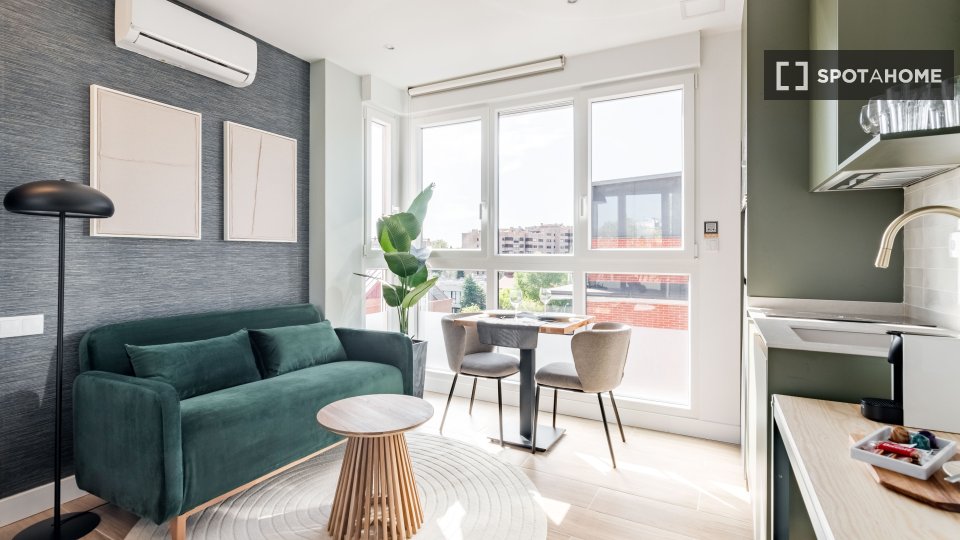 Apartment mono Madrid, 19m² — photo 3