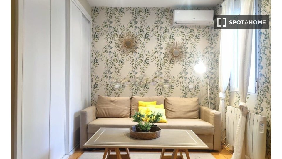 Apartment Madrid, 1 bed — photo 13
