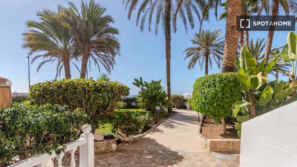 Apartment mono Santa_Cruz_De_Tenerife — photo 56
