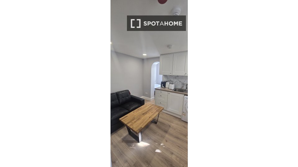 Apartment mono Dublin, 22m² — photo 5