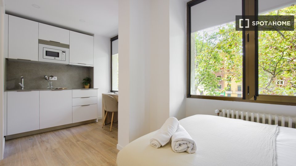 Apartment mono Madrid — photo 4