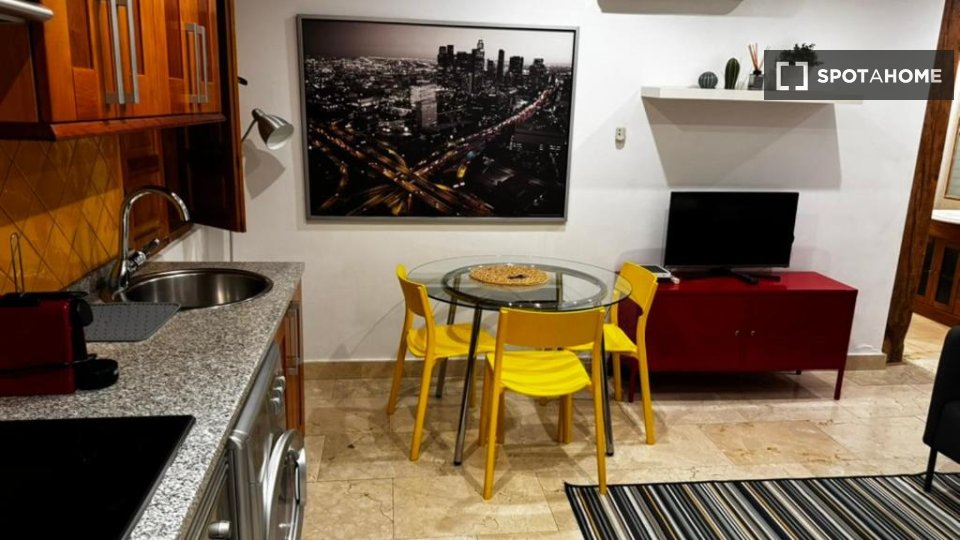 Apartment mono Madrid, 30m² — photo 13