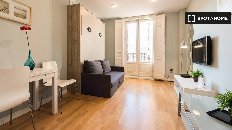 Apartment mono Madrid, 28m² — photo 1