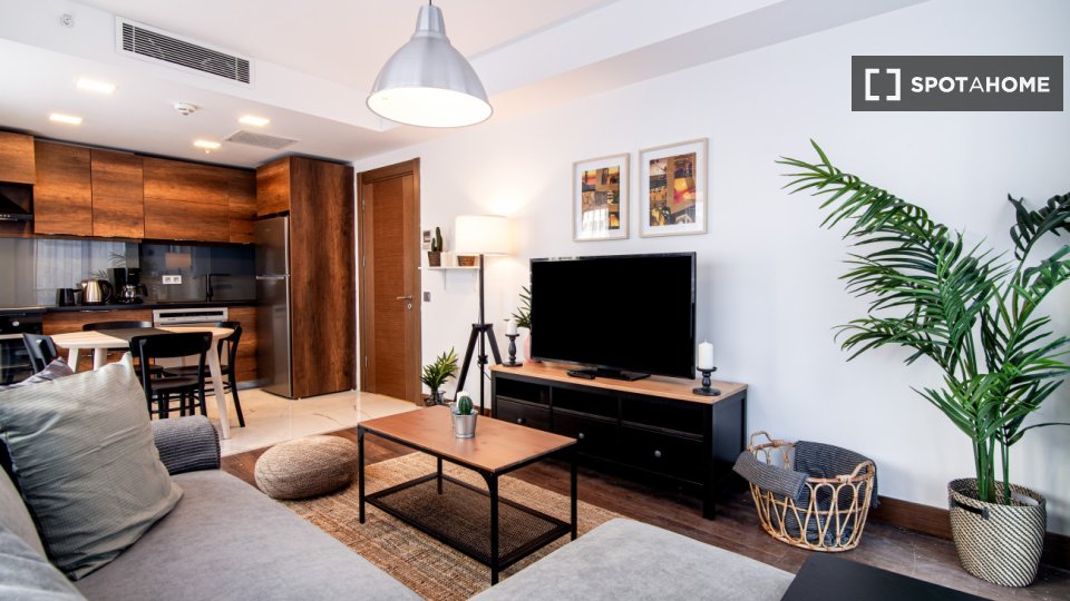 Apartment Istanbul, 1 bed — photo 5