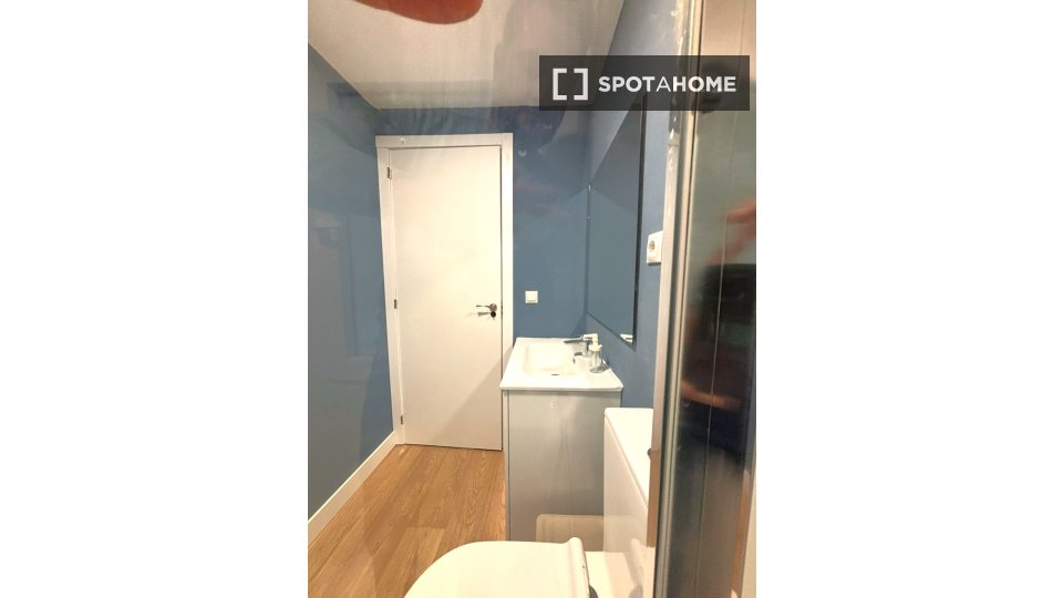 Double room Madrid, 7 beds, 160m² — photo 64