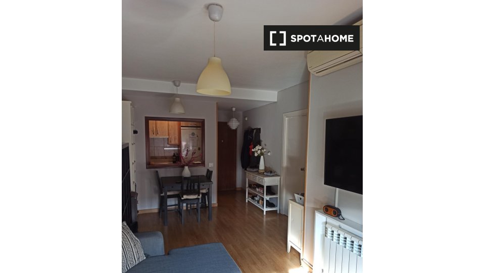 Apartment Madrid, 1 bed, 50m² — photo 7