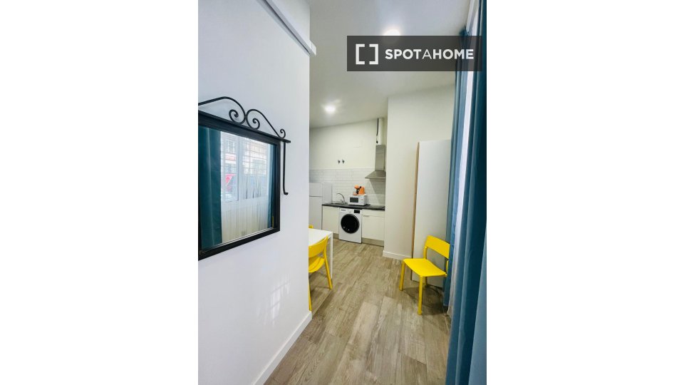 Apartment mono Malaga, 40m² — photo 5