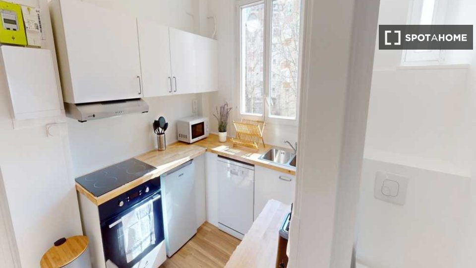 Double room Paris, 5 beds, 100m² — photo 4