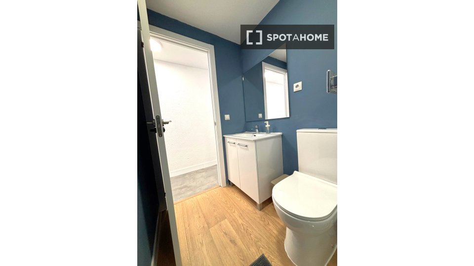 Double room Madrid, 7 beds, 160m² — photo 66