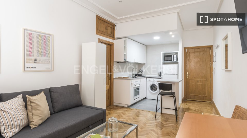 Apartment mono Madrid, 50m² — photo 9