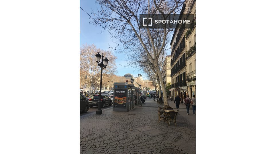 Double room Madrid, 5 beds, 100m² — photo 10