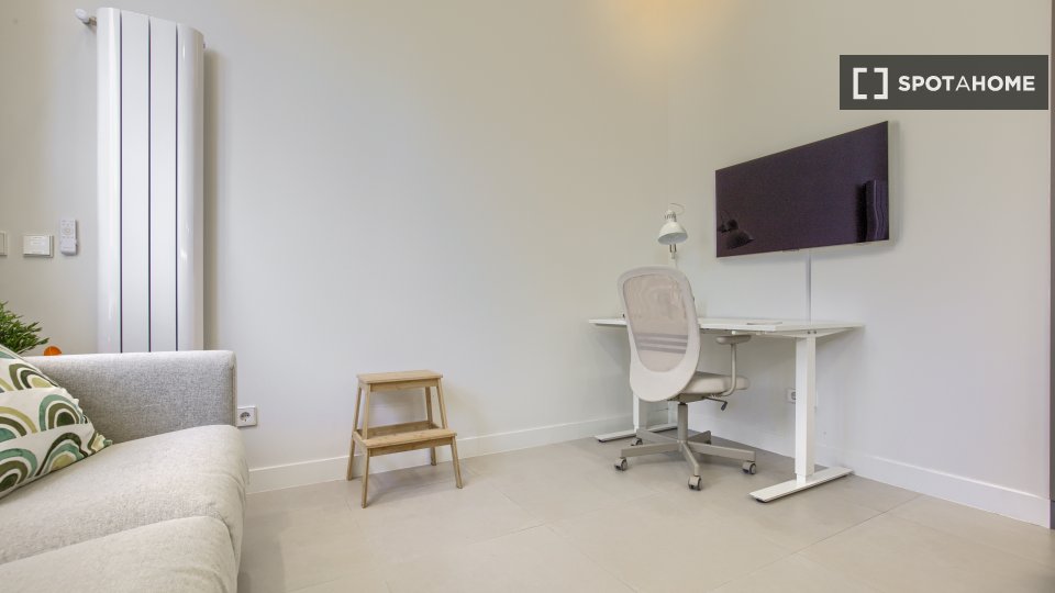 Apartment mono Madrid, 42m² — photo 3