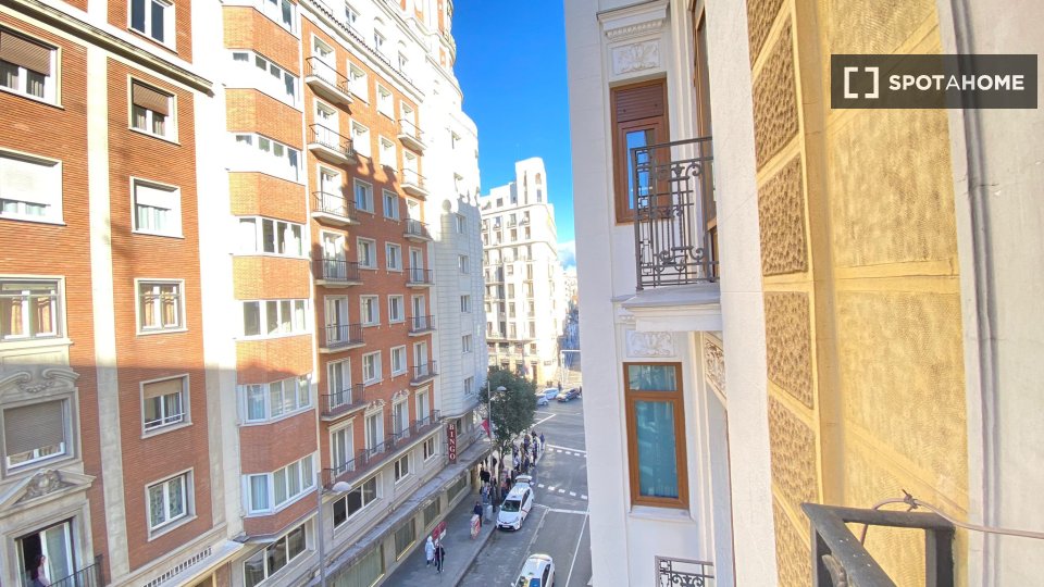 Double room Madrid, 7 beds, 180m² — photo 34