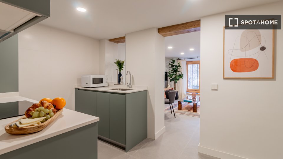 Apartment mono Madrid, 45m² — photo 12