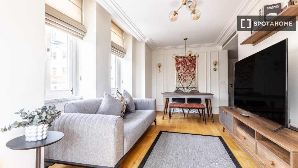 Apartment Istanbul, 1 bed — photo 10