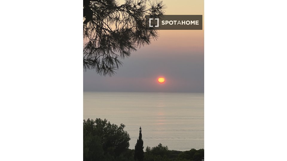 Apartment Palma_De_Mallorca, 2 beds, 100m² — photo 14