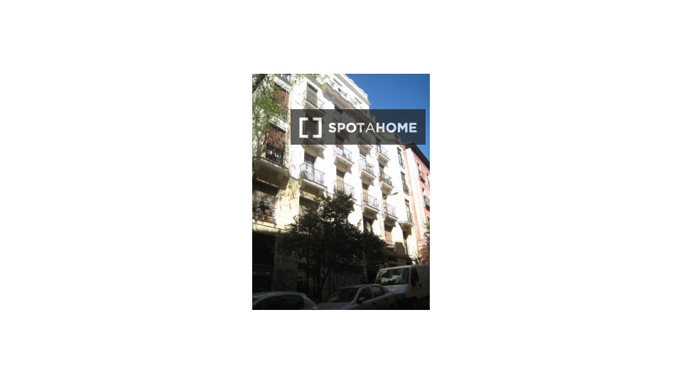 Double room Madrid, 3 beds, 100m² — photo 7