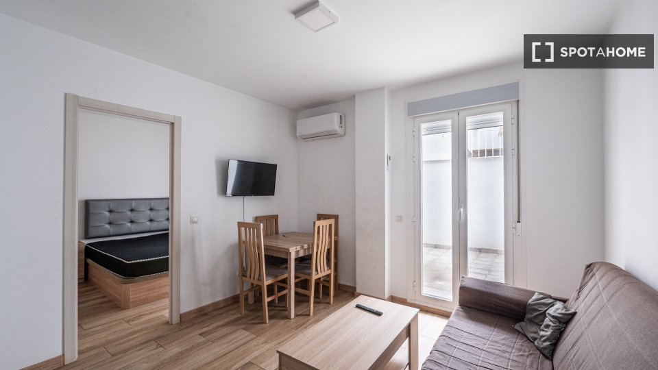 Apartment Madrid, 1 bed — photo 14