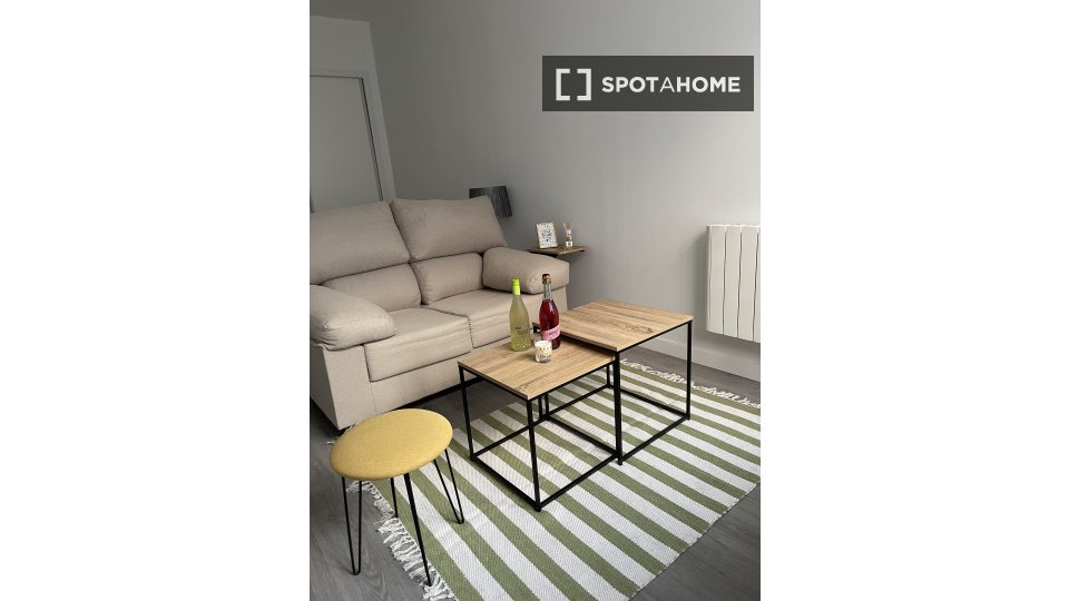 Apartment mono Madrid, 26m² — photo 18
