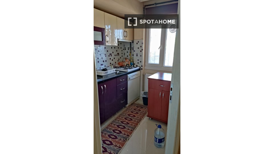 Double room Istanbul, 2 beds — photo 6