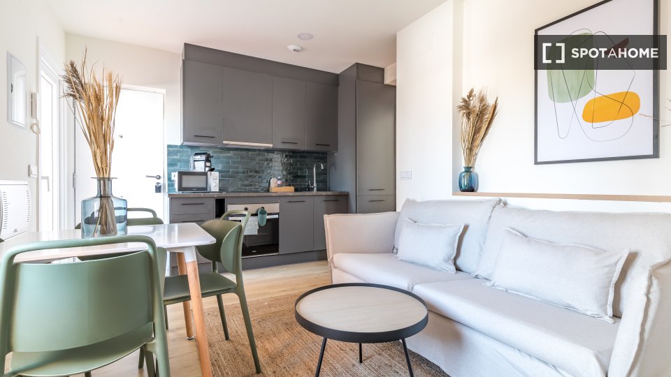 Apartment Madrid, 1 bed — photo 6