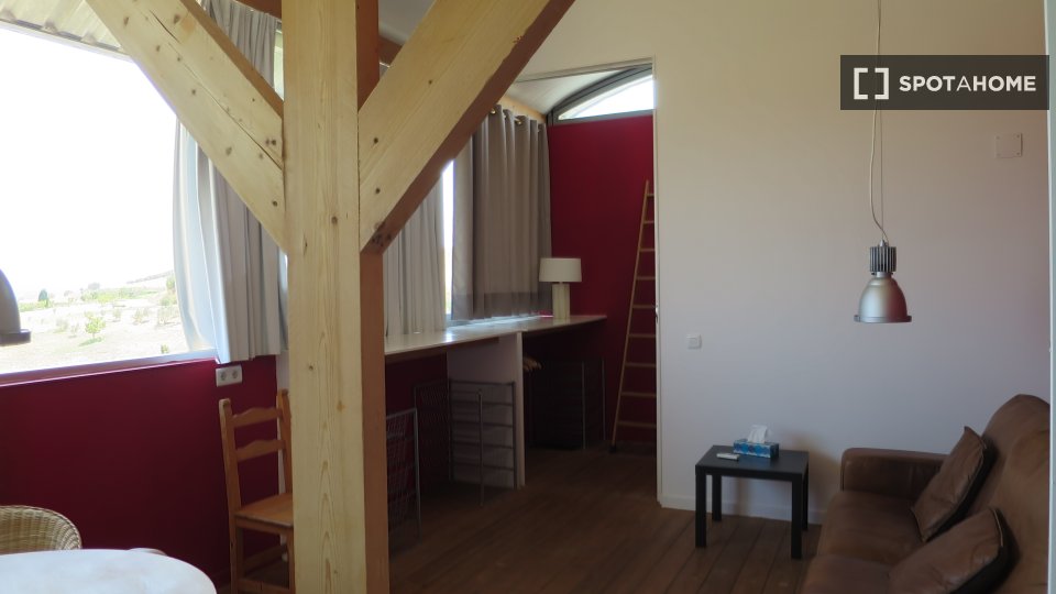 Apartment mono Malaga, 50m² — photo 9
