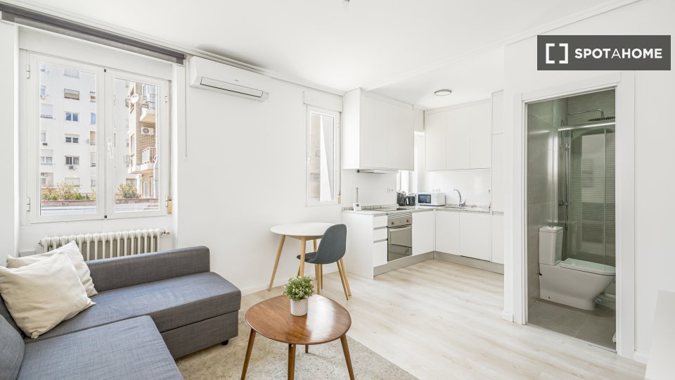 Apartment mono Madrid, 50m² — photo 8