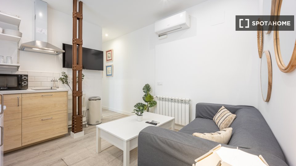 Double room Madrid, 3 beds, 90m² — photo 8
