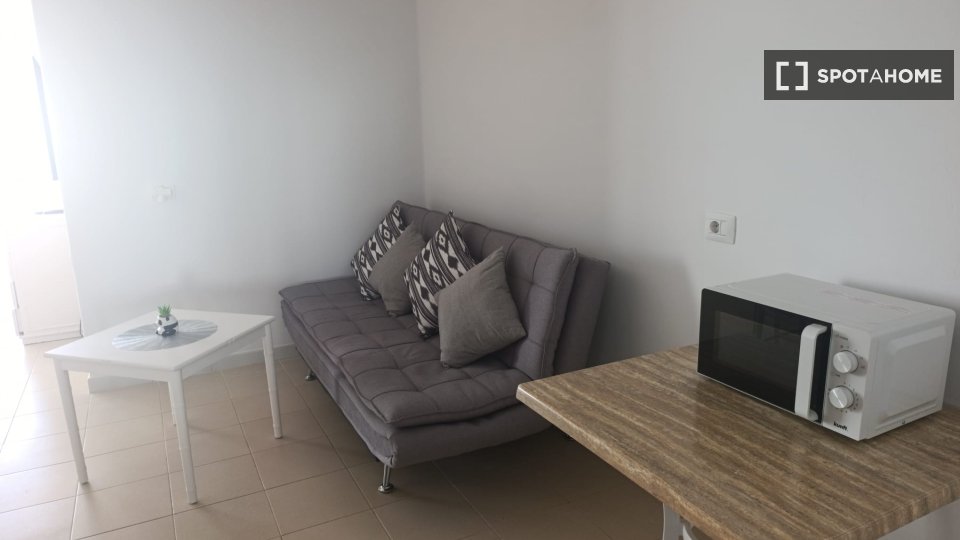 Apartment mono Santa_Cruz_De_Tenerife, 47m² — photo 4