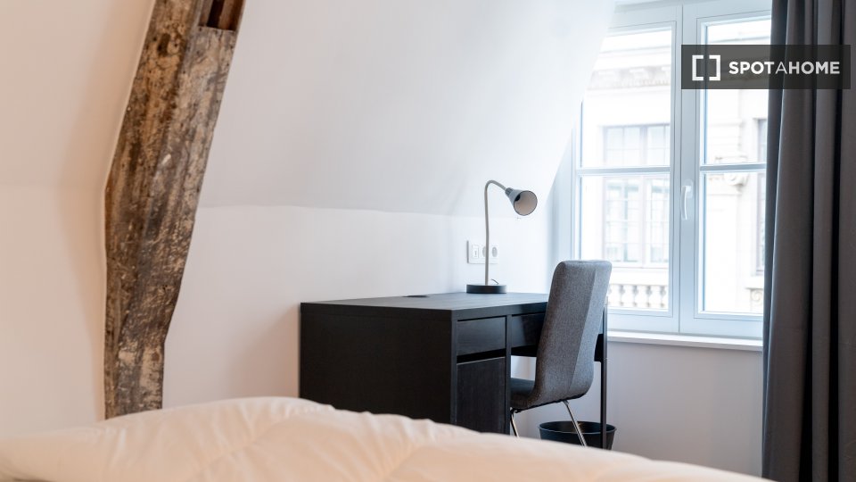 Double room Brussels, 6 beds — photo 4