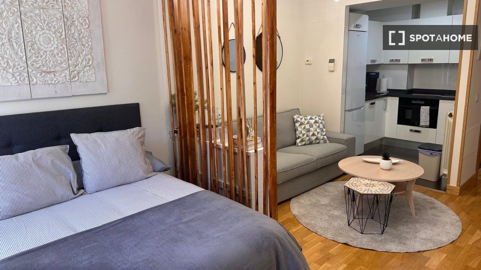 Apartment mono Madrid, 42m² — photo 7