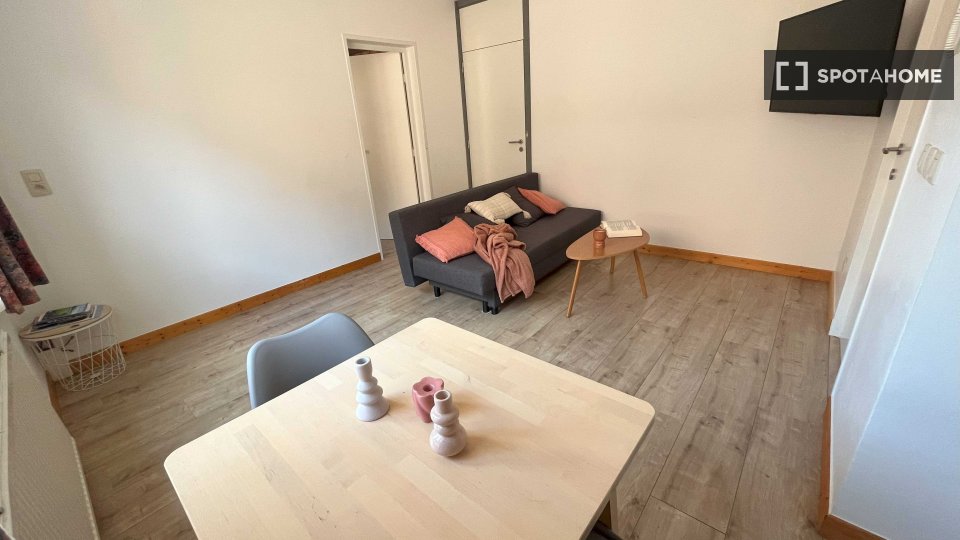 Apartment mono Brussels, 40m² — photo 6