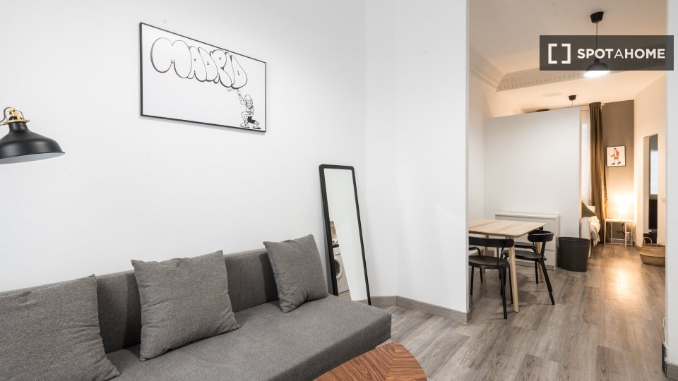 Apartment Madrid, 1 bed — photo 13