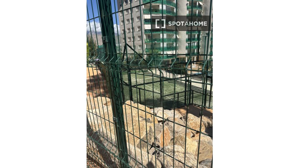 Double room Alicante, 1 bed, 30m² — photo 8