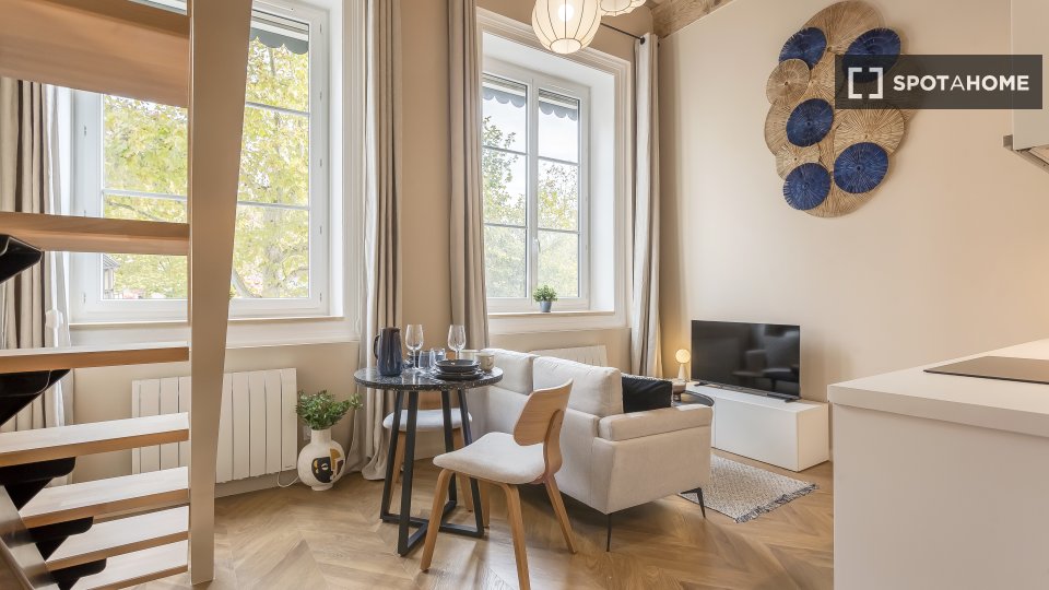Apartment mono Lyon, 29m² — photo 9