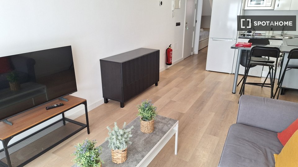 Apartment mono Madrid, 30m² — photo 36