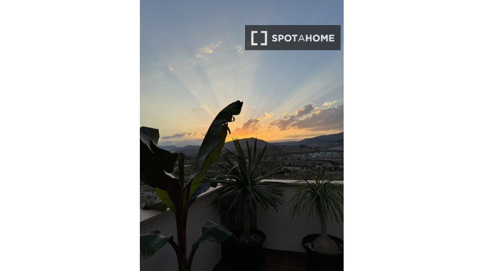 Apartment Alicante, 3 beds, 240m² — photo 6