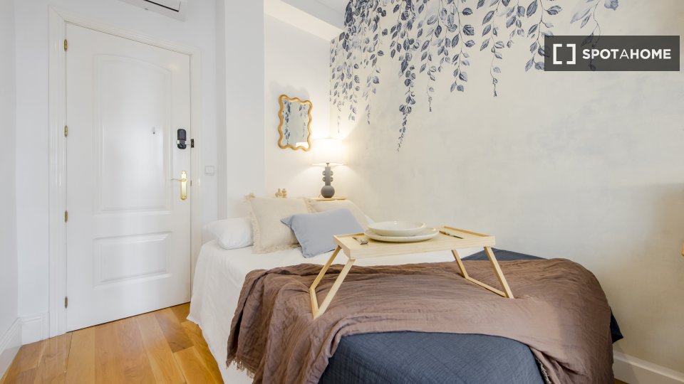 Double room Madrid, 13 beds, 266m² — photo 11