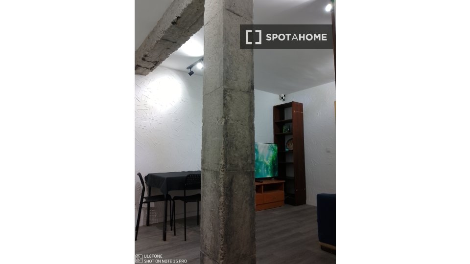 Double room Madrid, 4 beds, 80m² — photo 5