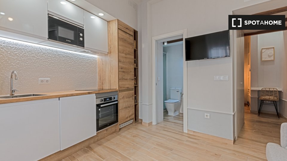 Apartamento entero de 1 habitaciones en madrid