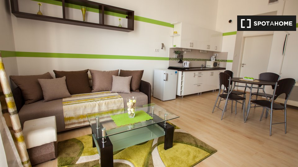 Apartment mono Budapest, 35m² — photo 1